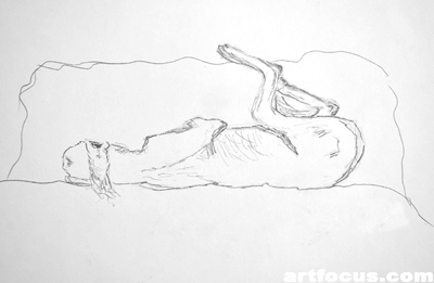 'Beschützter Schlaf' - Saluki schlafend eingerollt - Bleistiftzeichnung auf Papier - 2008, Stuttgart